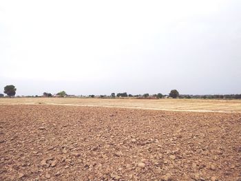 Scenic view of field against clear sky