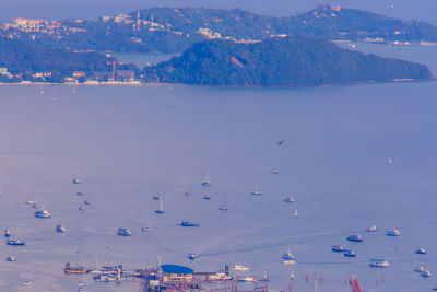 High angle view of birds flying over sea