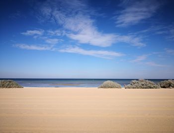 Scenic view of beach against sky