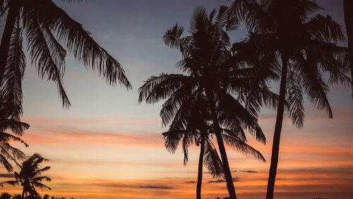 Silhouette palm trees against sky during sunset