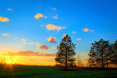 Scenic view of field against sky at sunset