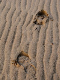 High angle view of footprints on sand at beach