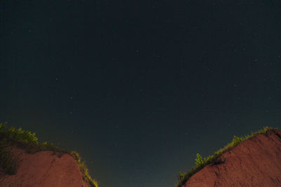 Low angle view of trees against sky at night