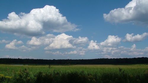 Scenic view of landscape against clear sky