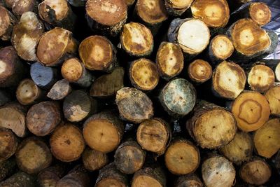 Full frame shot of logs