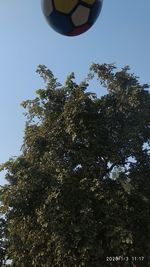 Low angle view of balloons flying against clear sky