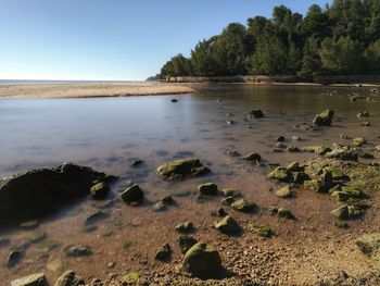 Scenic view of beach against sky