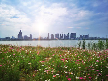 Scenic view of sea and buildings against sky