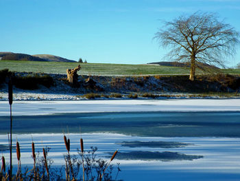 Sunny day over a frozen scottish loch