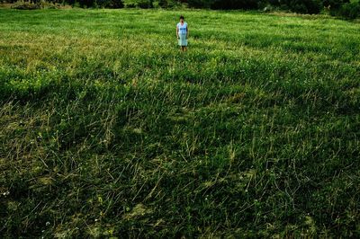 Man standing on grassy field