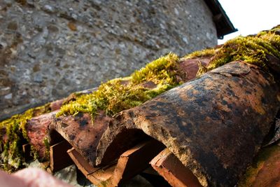 Close-up of old stone wall