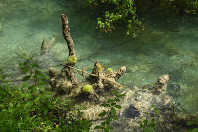 High angle view of rocks by lake in forest