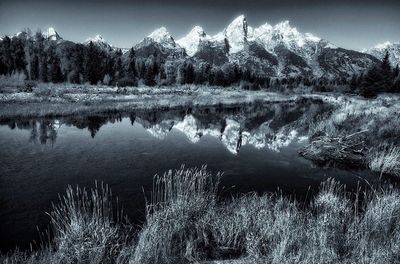 Reflection of trees in lake