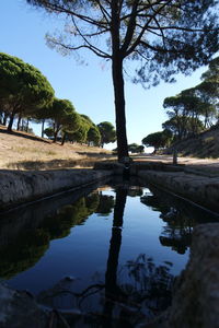 Reflection of trees in lake against sky