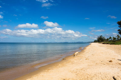 View of beach against cloudy sky