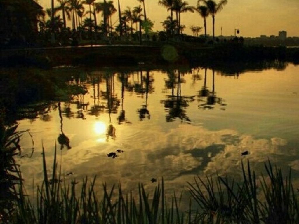 water, reflection, sunset, lake, tranquil scene, tranquility, sky, scenics, beauty in nature, silhouette, nature, grass, plant, idyllic, tree, calm, outdoors, no people, orange color, growth