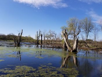 Scenic view of lake against sky