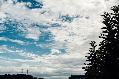 Low angle view of trees against sky