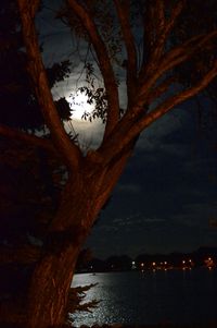 Scenic view of lake against sky at night