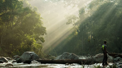 Full length of man standing in river against trees on sunny day