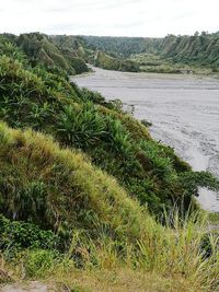 Scenic view of landscape against sky