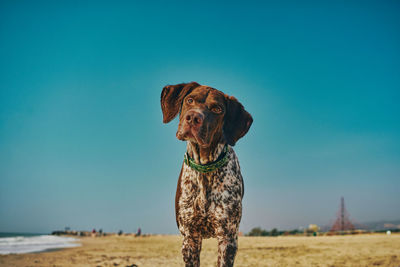 Rear view of woman standing against clear sky