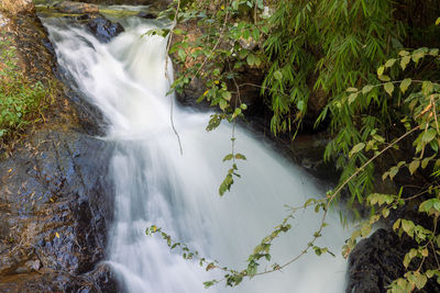 Datanla waterfall near dalat, vietnam