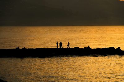 Silhouette of people in sea at sunset