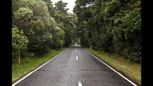 Road passing through trees