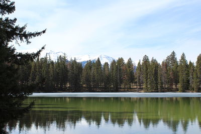 Scenic view of lake by trees against sky