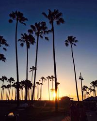 Silhouette palm trees at sunset