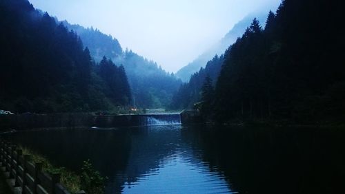 Scenic view of river in forest against clear sky