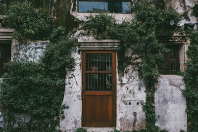 Closed door of old building