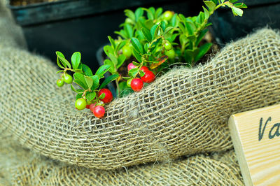 Coffee cherries in sack