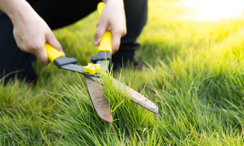 Low section of woman cutting grass in lawn