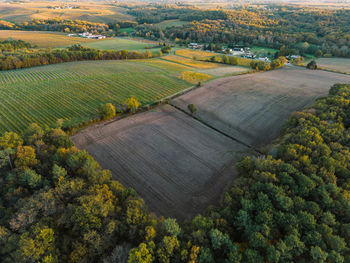 High angle view of agricultural field