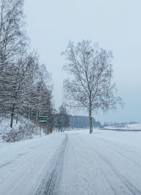 Bare trees on snow covered road against sky