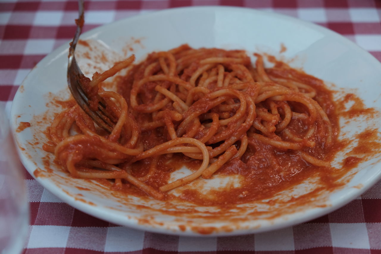 CLOSE-UP OF PASTA IN PLATE