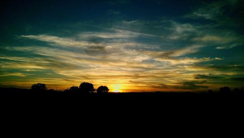 Silhouette of trees at sunset