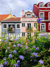 View of flowering plants and buildings against sky