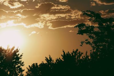 Silhouette trees against sky during sunset