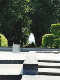 Footpath by trees in park