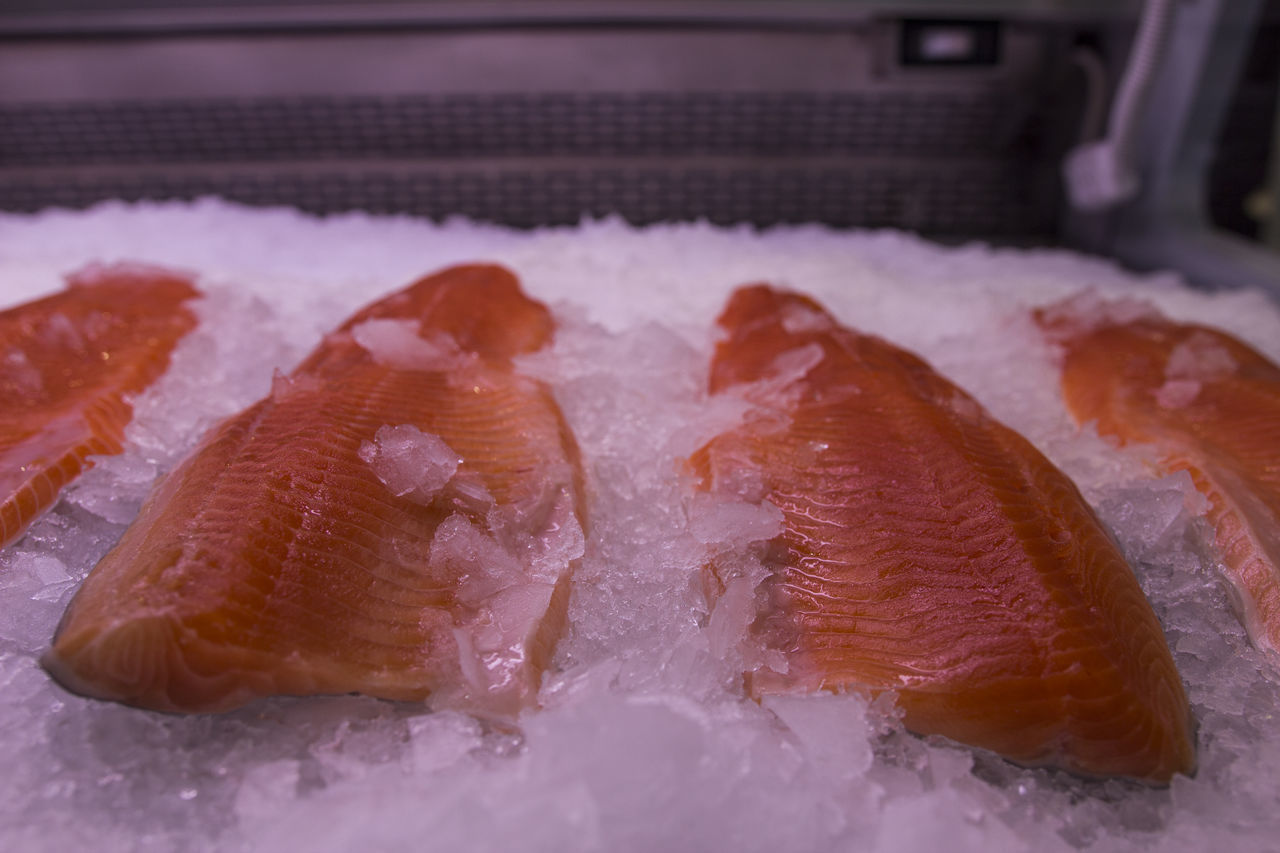 HIGH ANGLE VIEW OF DEAD FISH ON TRAY