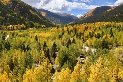 Scenic view of trees and mountains against sky