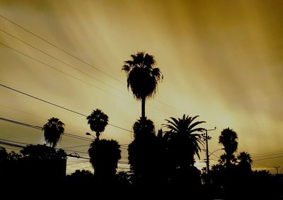 Low angle view of silhouette trees against sky at sunset