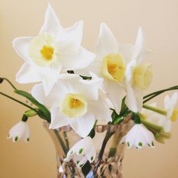 Close-up of flowers