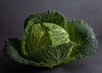 Close-up of green leaf on table