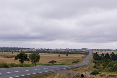 Road by trees against sky
