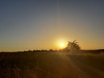 Scenic view of field against clear sky during sunset