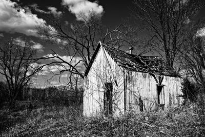 Bare trees on field against sky